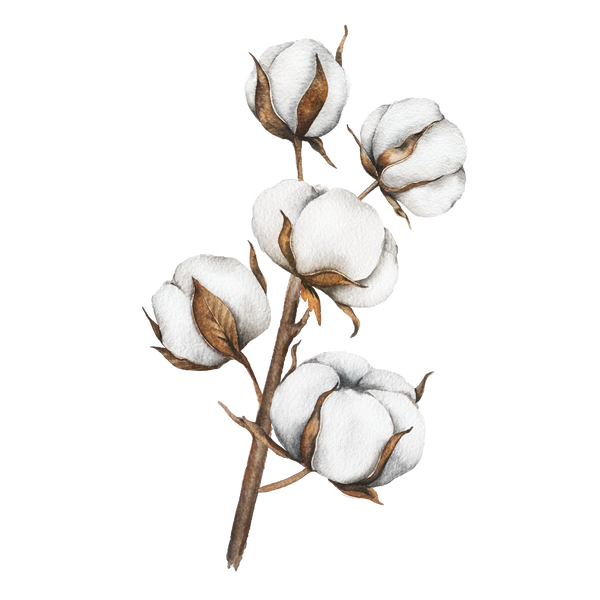 סיבי (PP-Cotton)